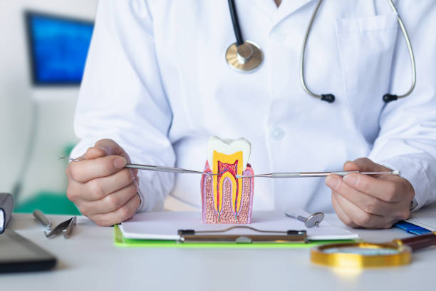 Best Chipped Tooth Repair Near Me  in Winter Beach, FL